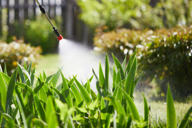 24/7 Emergency Mosquito Control experts in Lovington, NM